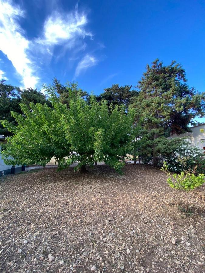 Ferienwohnung La Casa Del Gelso Tonnara di Bonagia Exterior foto