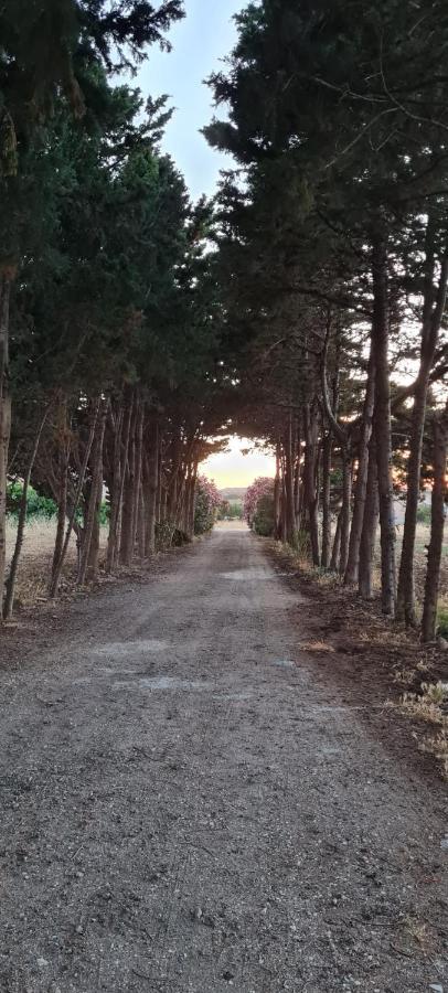 Ferienwohnung La Casa Del Gelso Tonnara di Bonagia Exterior foto