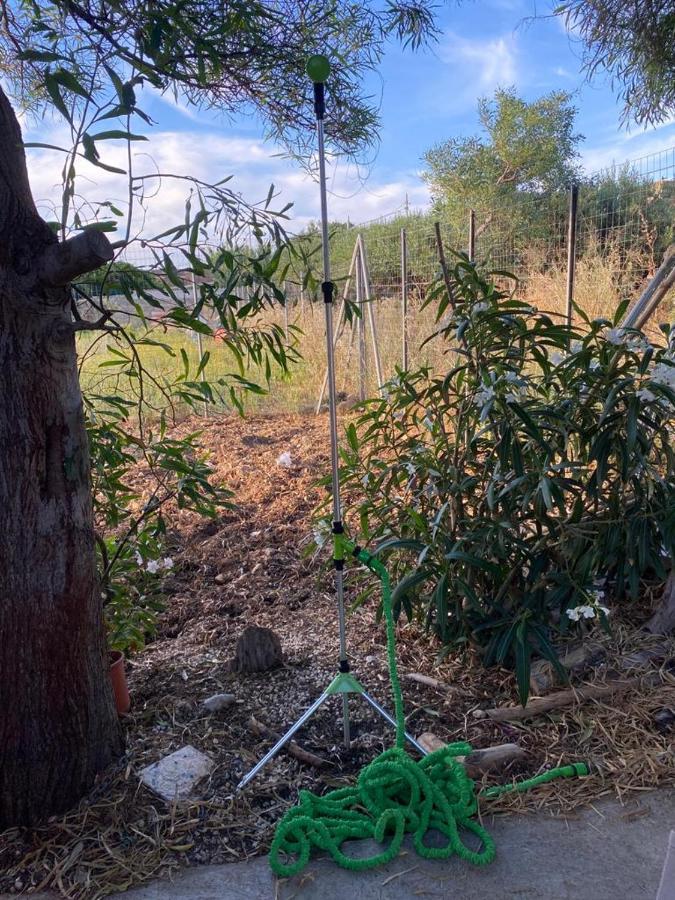 Ferienwohnung La Casa Del Gelso Tonnara di Bonagia Exterior foto