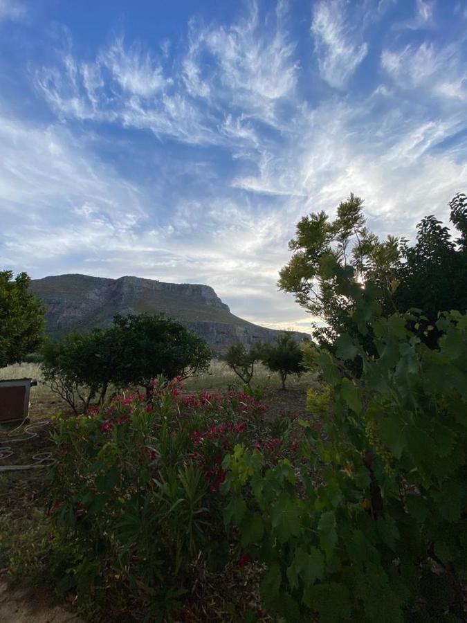 Ferienwohnung La Casa Del Gelso Tonnara di Bonagia Exterior foto